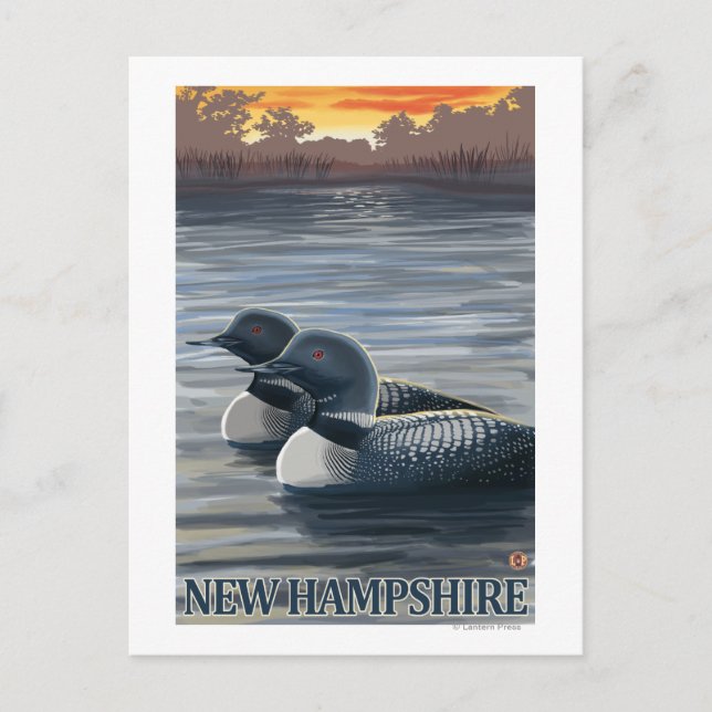 Postal New Hampshire Common Loon (Anverso)
