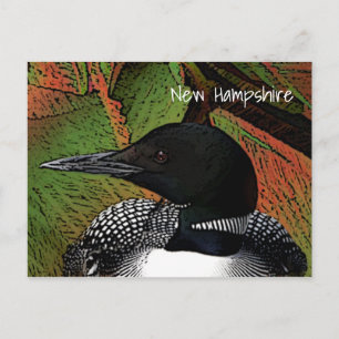 Postal New Hampshire Common Loon