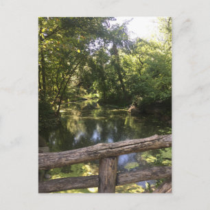 Postal New York City NYC Central Park Trees Water Photo