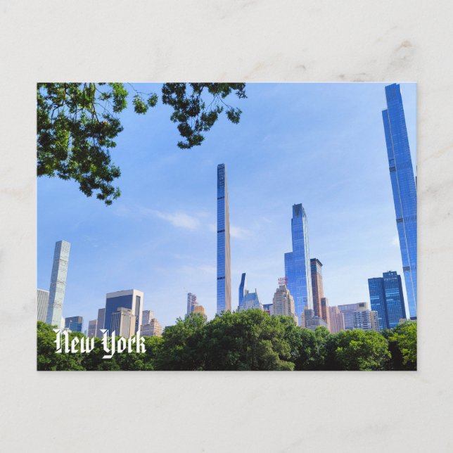 Postal New York View Postcard Central Park & Brooklyn  (Anverso)