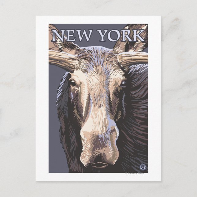 Postal New YorkMoose Up Close (Anverso)