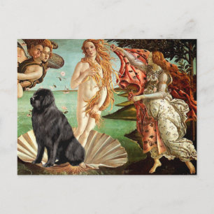 Postal Newfie 1 - Nacimiento de Venus