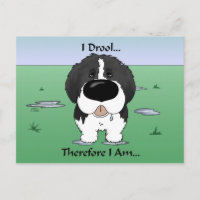 Newfie (Landseer) - I Drool