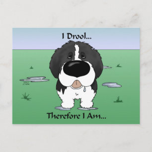 Postal Newfie (Landseer) - I Drool