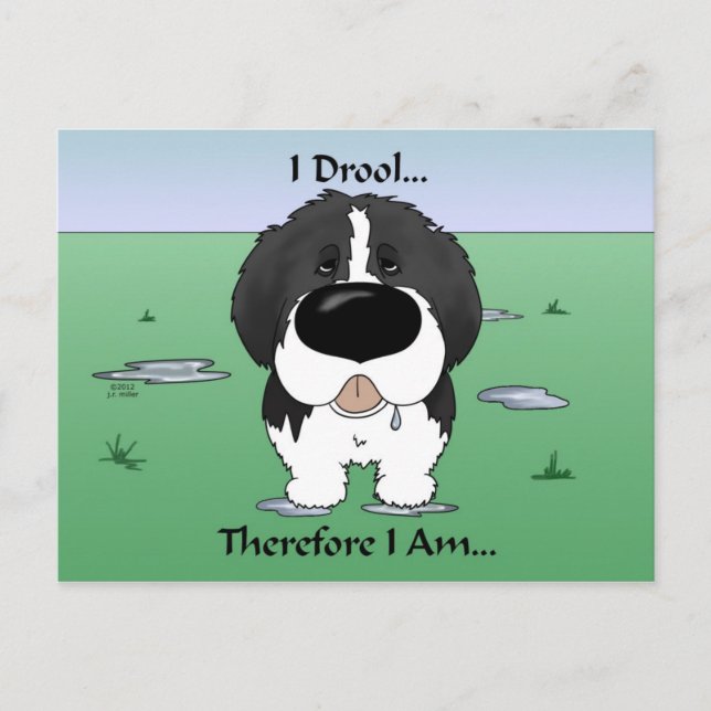 Postal Newfie (Landseer) - I Drool (Anverso)