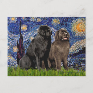 Postal Newfie Pair - Noche estrellada