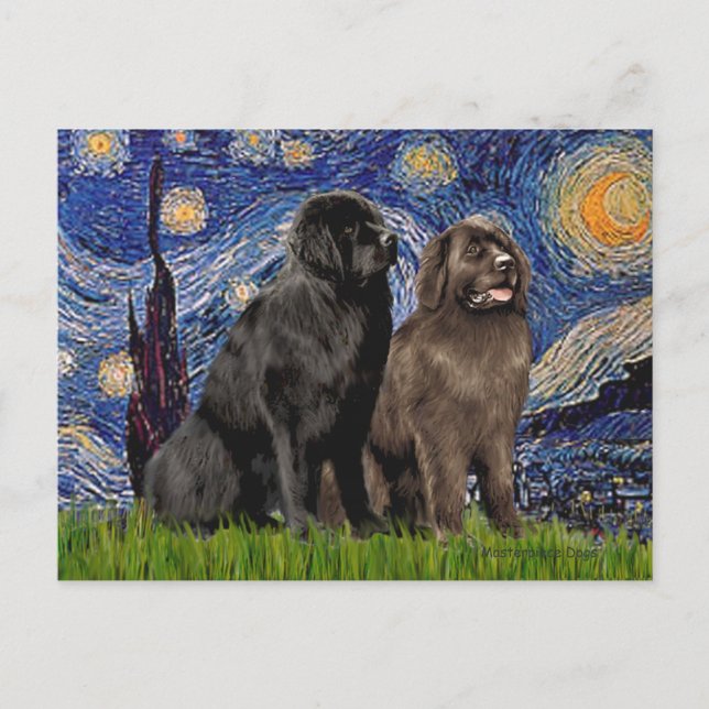 Postal Newfie Pair - Noche estrellada (Anverso)