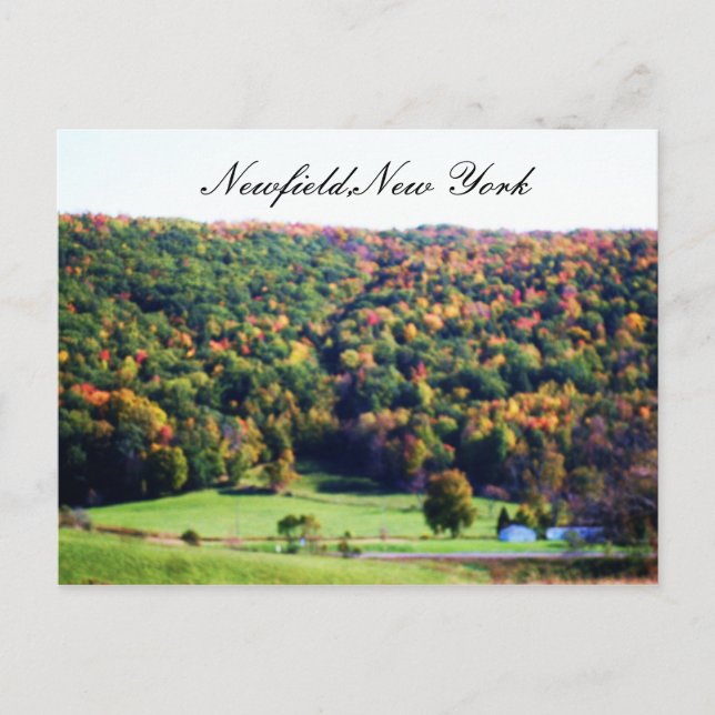 postal NEWFIELD NUEVA YORK (Anverso)