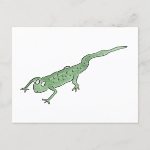 Postal Newt