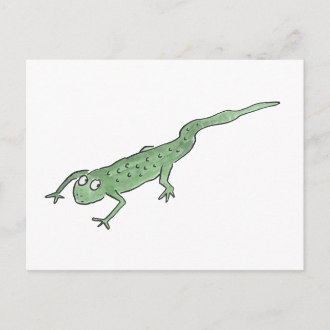 Postal Newt (Anverso)