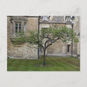 Postal Newton Apple Tree, Cambridge, Inglaterra