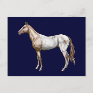 Postal Nez Perce Horse