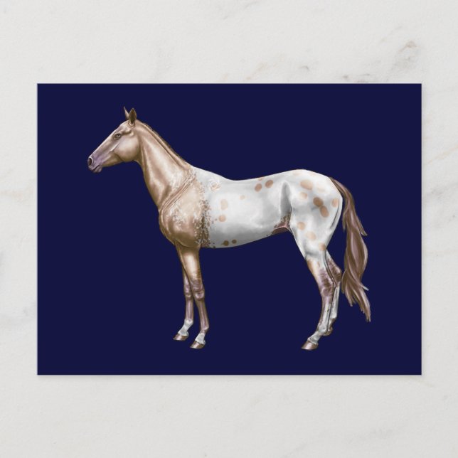 Postal Nez Perce Horse (Anverso)
