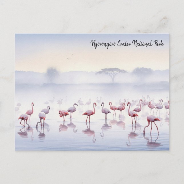 Postal Ngorongoro Tanzania Flamingos (Anverso)