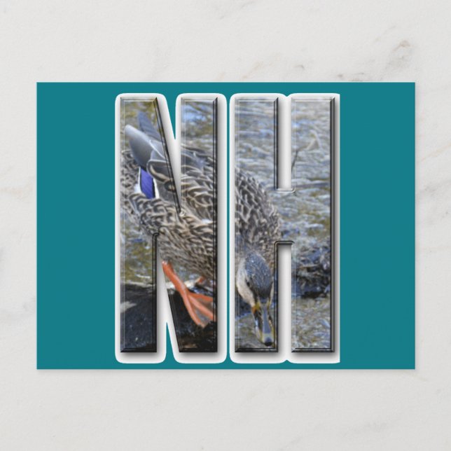 POSTAL NH NEW HAMPSHIRE (Anverso)