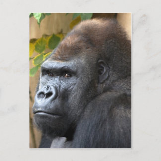 Postal Ni Siquiera Lo Pienses...