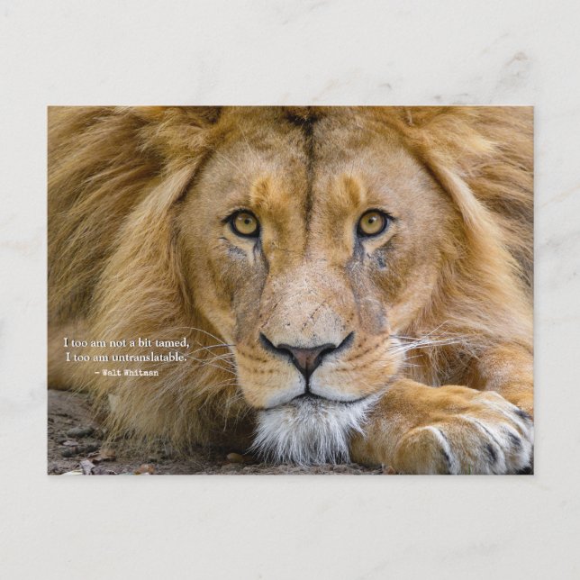 Postal Ni un Poco Domada - Cita Motivacional + Tu Foto (Anverso)