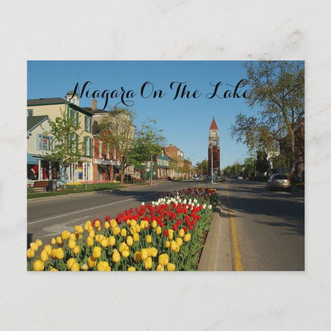 POSTAL NIAGARA FALLS POSTCARD (Anverso)