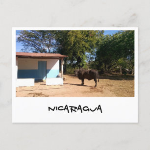 Postal Nicaragua
