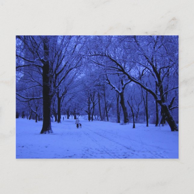 POSTAL NICE WALK (Anverso)