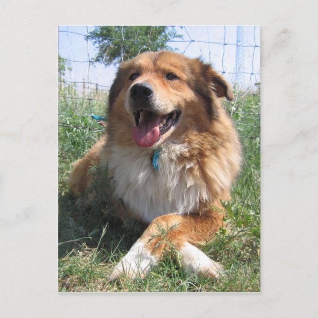 Postal Nicholas (Anverso)