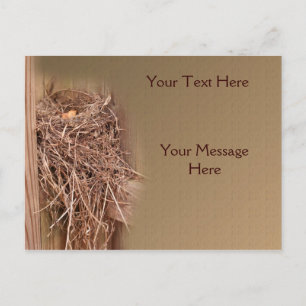 Postal Nido De Aves En La Naturaleza De La Cercada