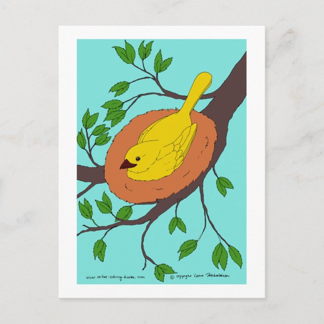 Postal Nido de pájaro amarillo (Anverso)