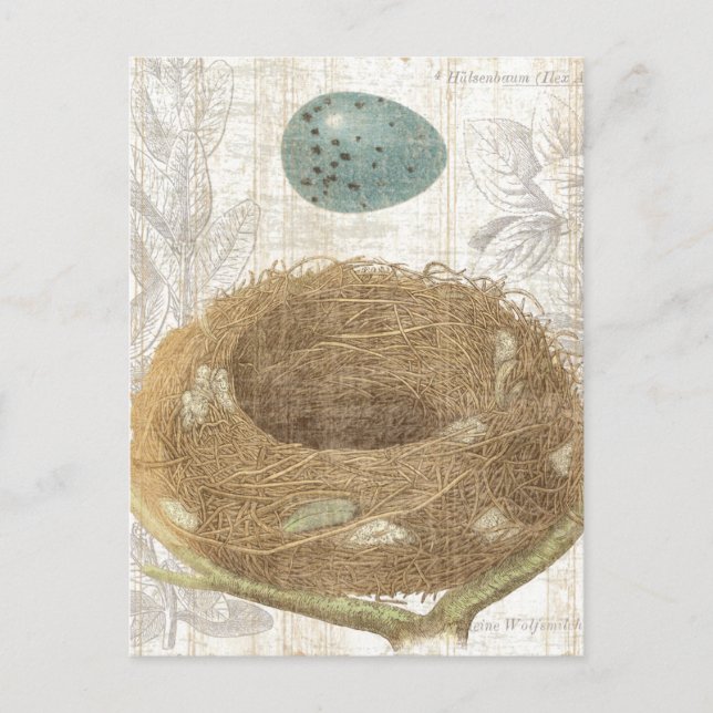 Postal Nido de pájaro con huevo decorativo (Anverso)