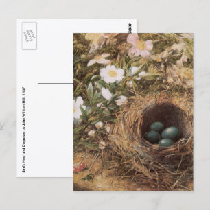 Postal Nido de Pájaros y Rosas de Perro por John William 
