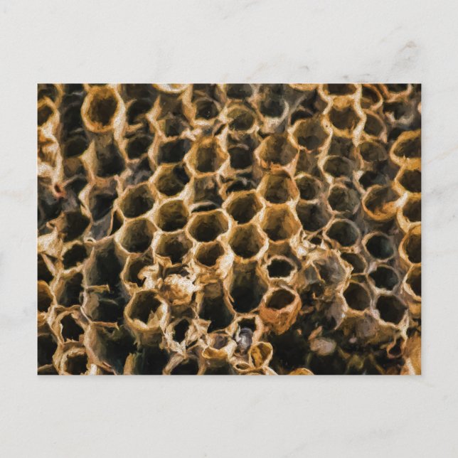 Postal Nido vacío (Anverso)