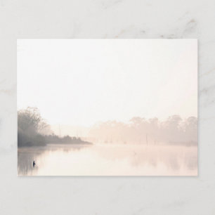 Postal Niebla Armand Bayou
