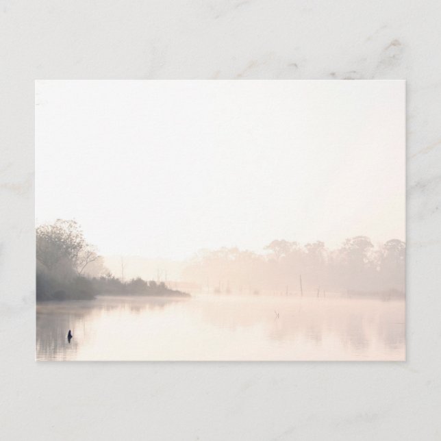 Postal Niebla Armand Bayou (Anverso)