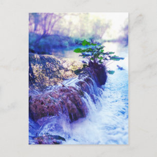 Postal niebla de agua