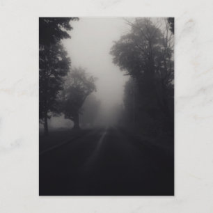 Postal niebla de campo