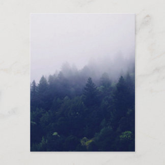 Postal Niebla forestal