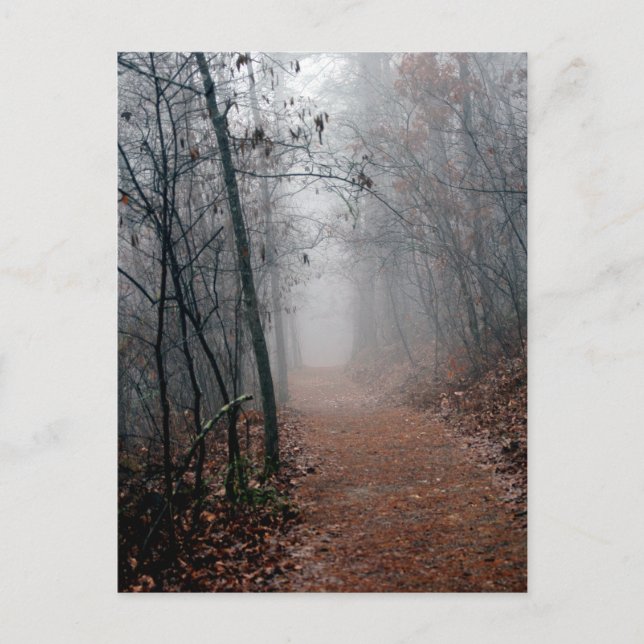 Postal Niebla inviernos - No hay fin a la vista en los re (Anverso)