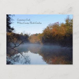 Postal Niebla matutina - Contentnea Creek