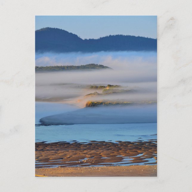 Postal Niebla matutina sobre la bahía de Netarts, OR (Anverso)