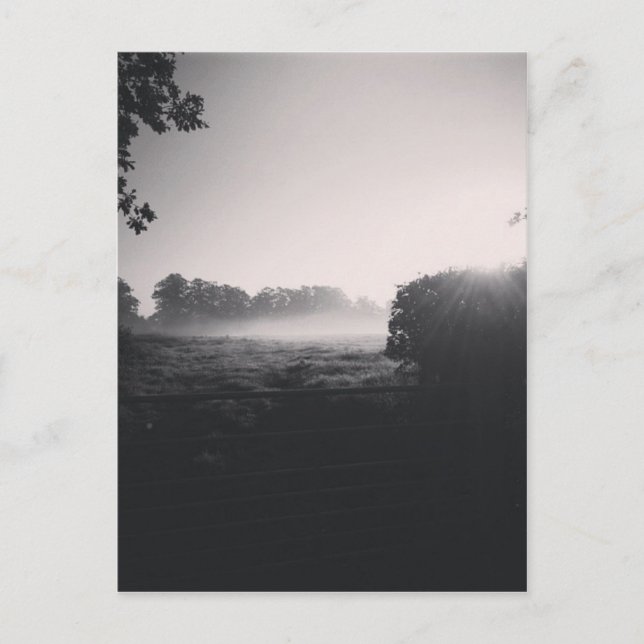 Postal Niebla matutina y sol bajo en el campo cuando babí (Anverso)