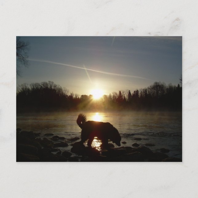 Postal Niebla sobre el río Misisipi (Anverso)