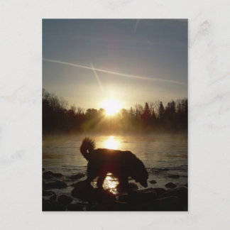 Postal Niebla sobre el río Misisipi