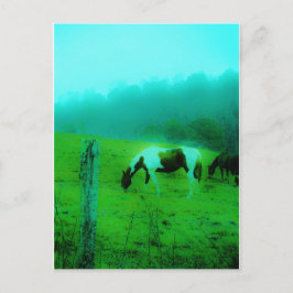 Postal Niebla verde azulada Reto pintado pony Caballo