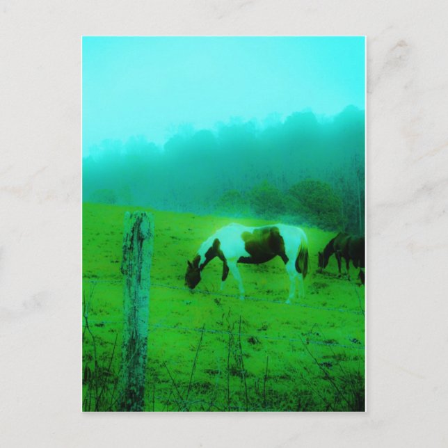 Postal Niebla verde azulada Reto pintado pony Caballo (Anverso)