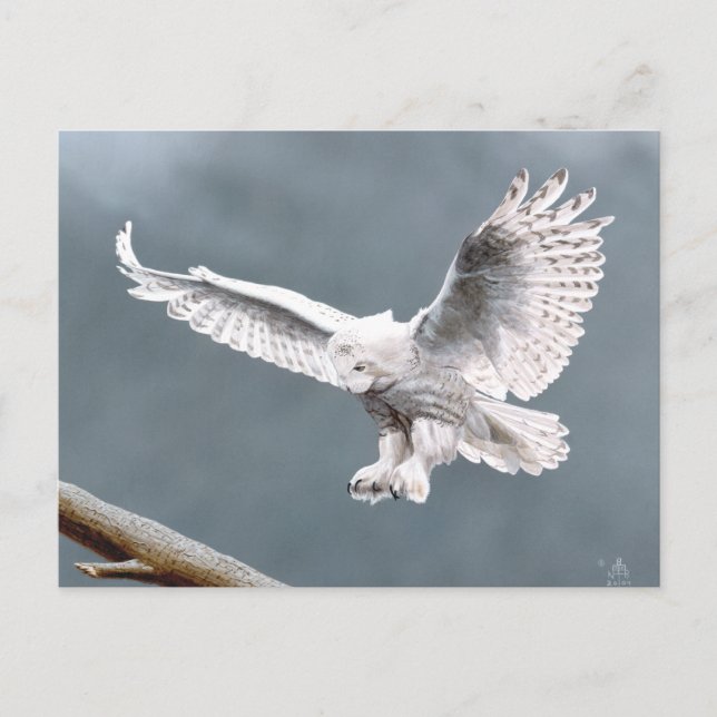 Postal Nieve (Anverso)