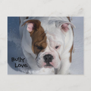 Postal Nieve Bully 2 - Bulldog inglés