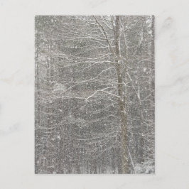 Postal Nieve cayendo