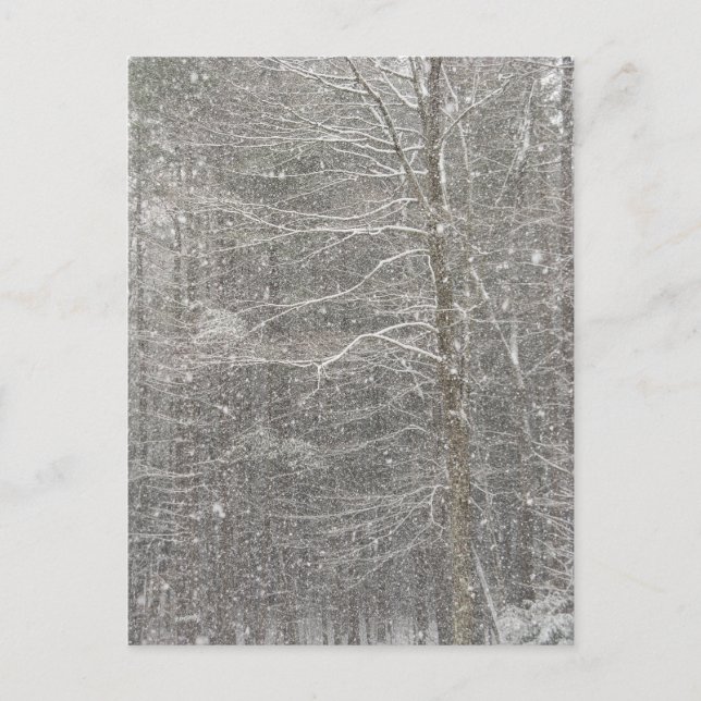 Postal Nieve cayendo (Anverso)