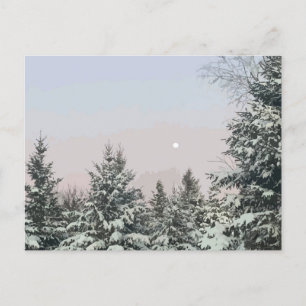 Postal Nieve cubierta Pino Árboles Moon Sunset