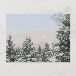 Postal Nieve cubierta Pino Árboles Moon Sunset