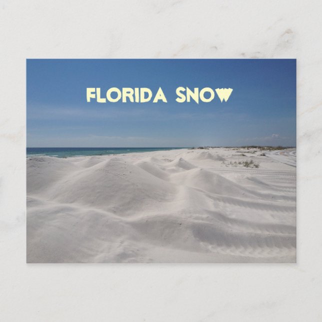 Postal Nieve de Florida (Anverso)